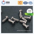 China Supplier Stainless Steel Cold Heading Rivet with High Precision